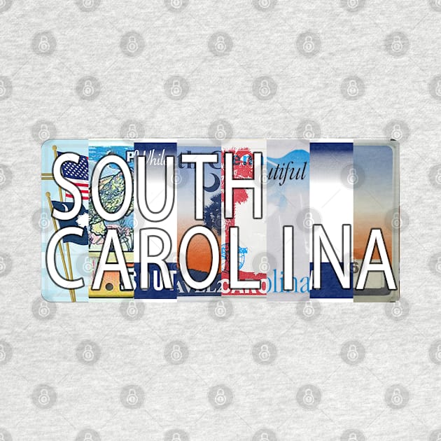 South Carolina License Plates by stermitkermit